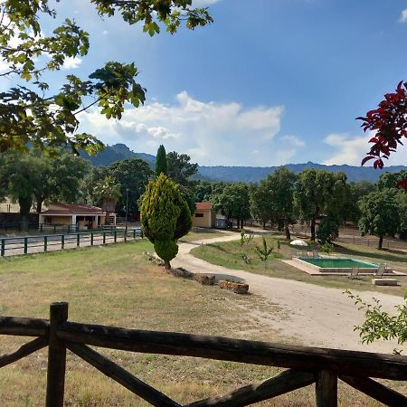 Casa Da Vinha Villa Castelo Novo ภายนอก รูปภาพ