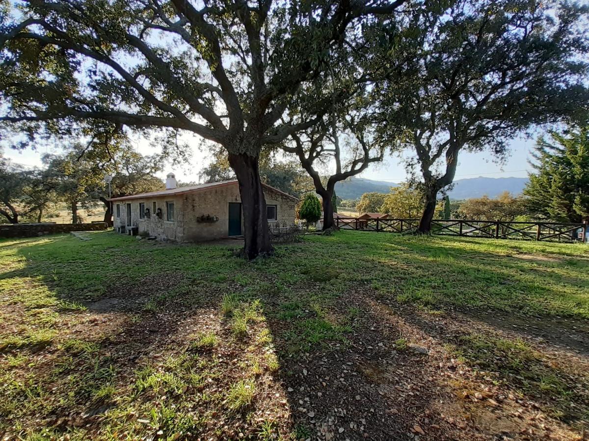 Casa Da Vinha Villa Castelo Novo ภายนอก รูปภาพ