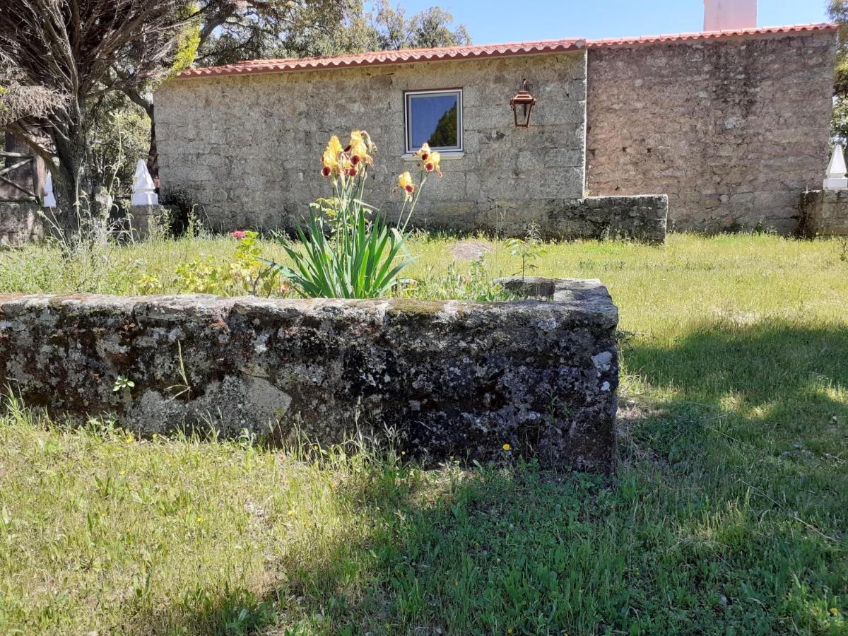 Casa Da Vinha Villa Castelo Novo ภายนอก รูปภาพ