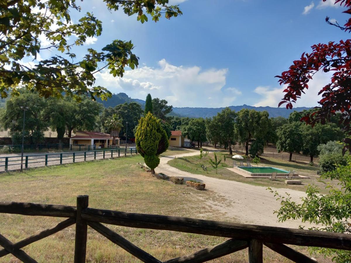 Casa Da Vinha Villa Castelo Novo ภายนอก รูปภาพ