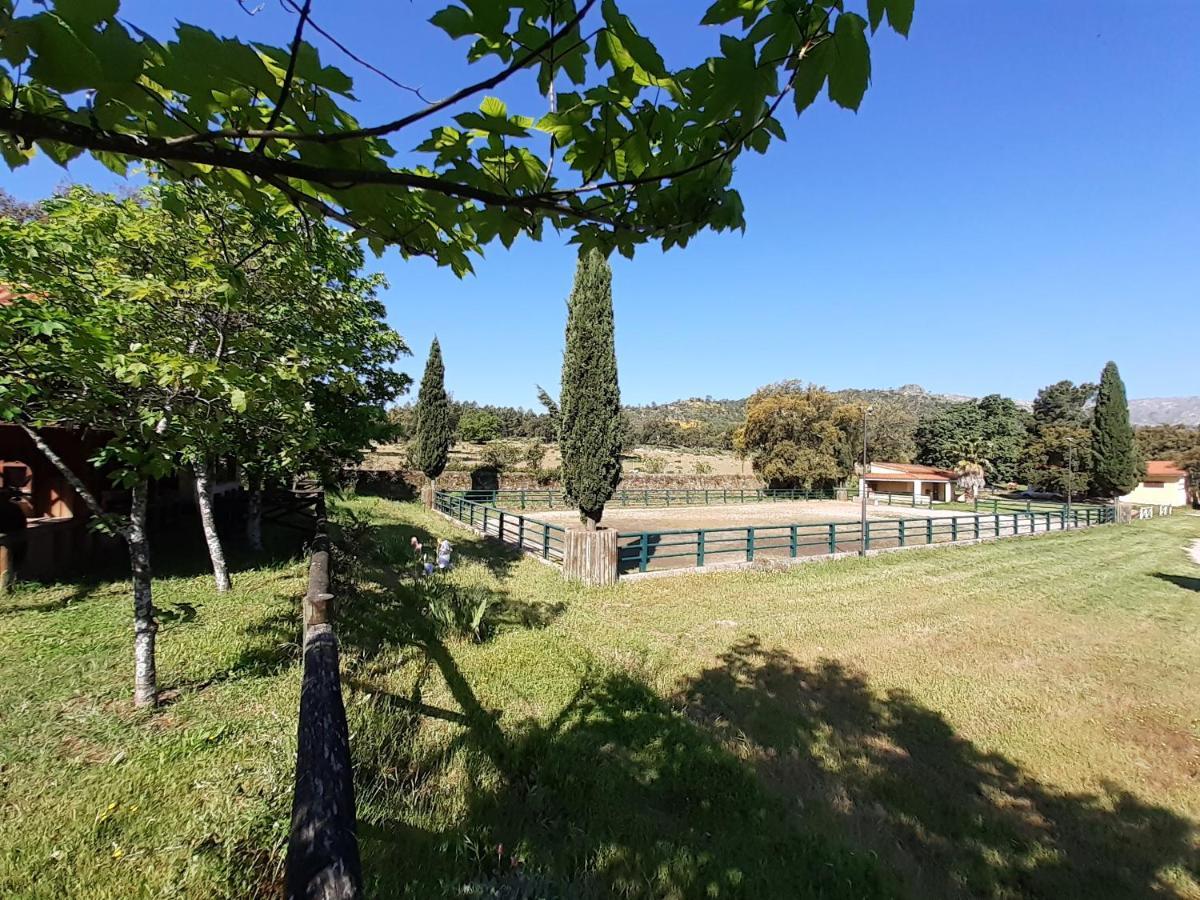 Casa Da Vinha Villa Castelo Novo ภายนอก รูปภาพ