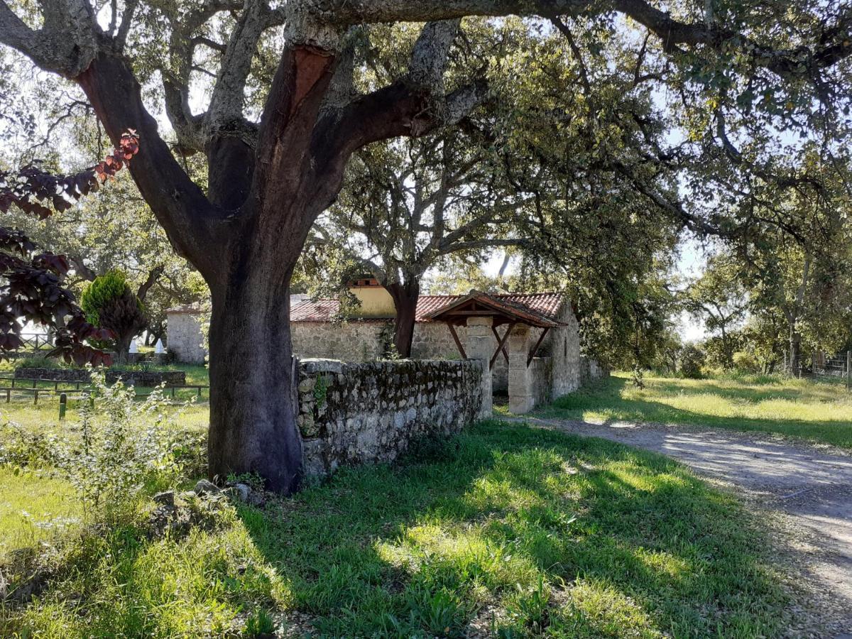 Casa Da Vinha Villa Castelo Novo ภายนอก รูปภาพ