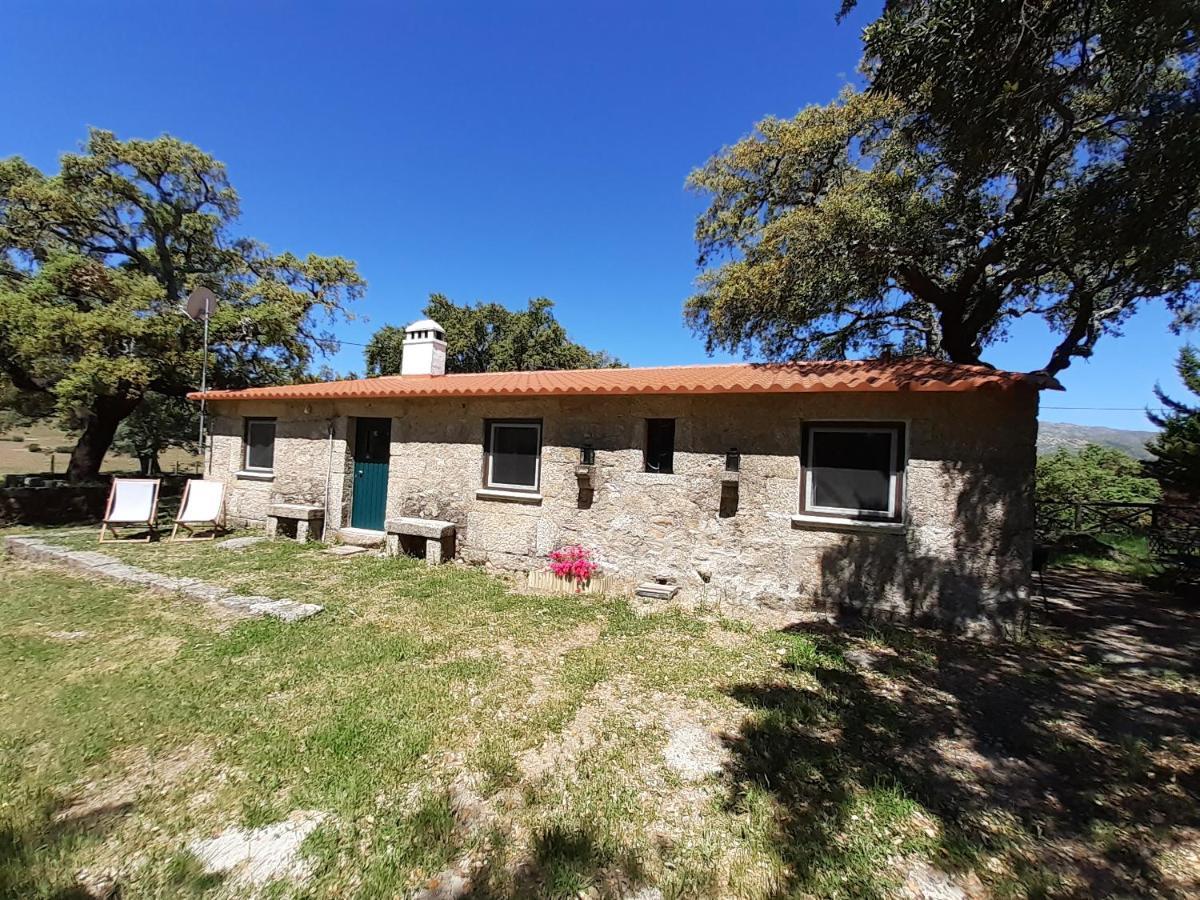 Casa Da Vinha Villa Castelo Novo ภายนอก รูปภาพ