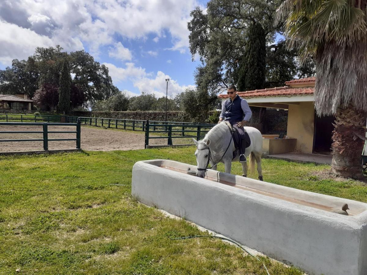 Casa Da Vinha Villa Castelo Novo ภายนอก รูปภาพ