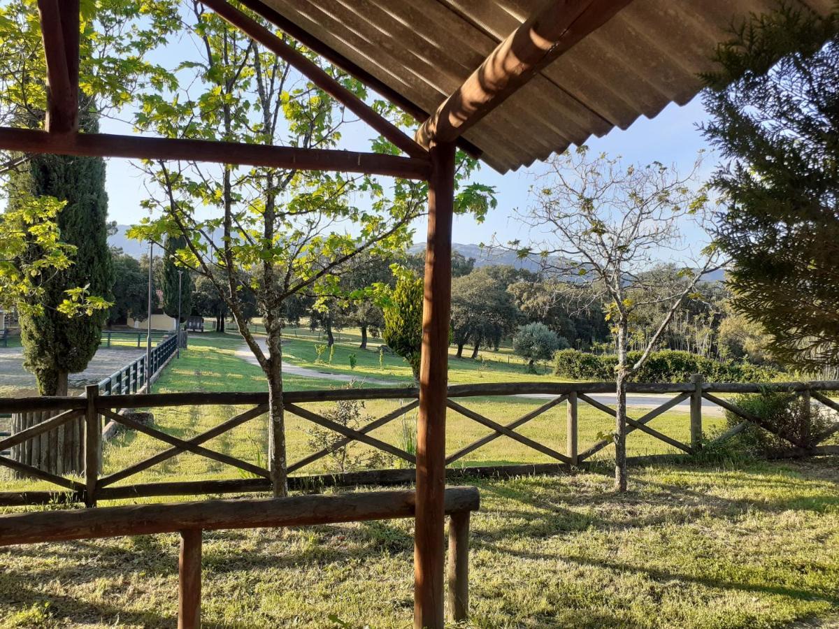 Casa Da Vinha Villa Castelo Novo ภายนอก รูปภาพ