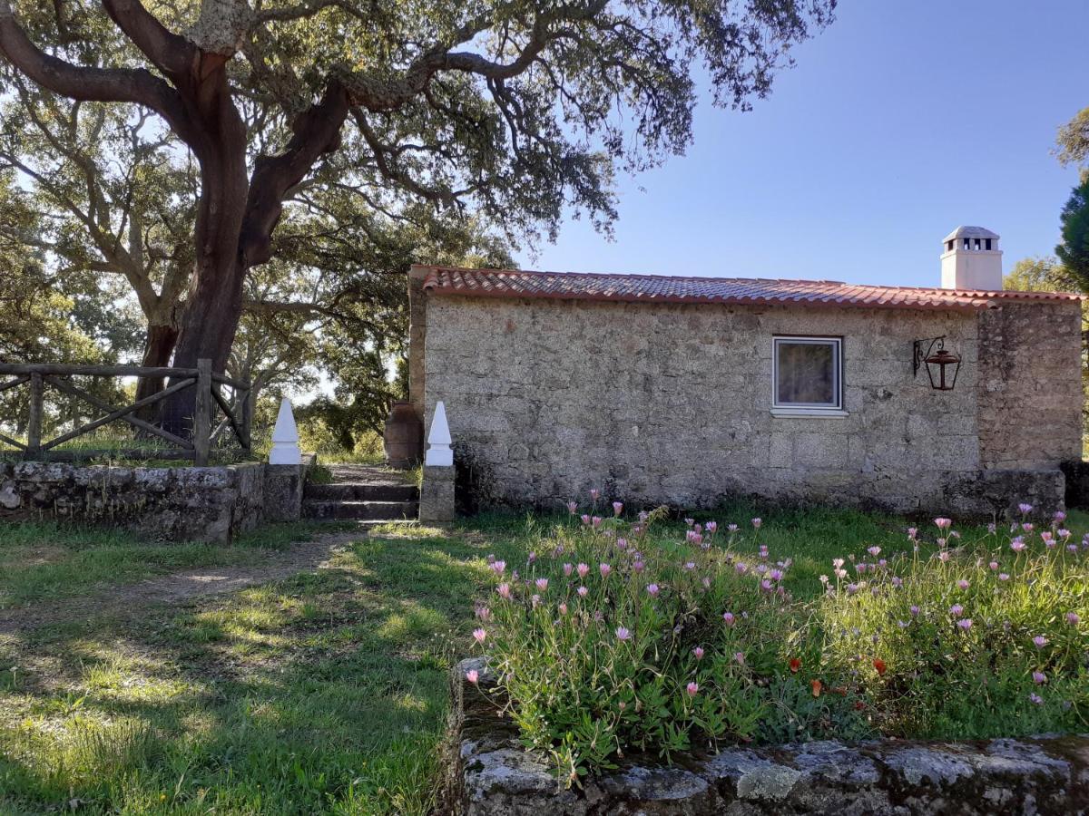 Casa Da Vinha Villa Castelo Novo ภายนอก รูปภาพ