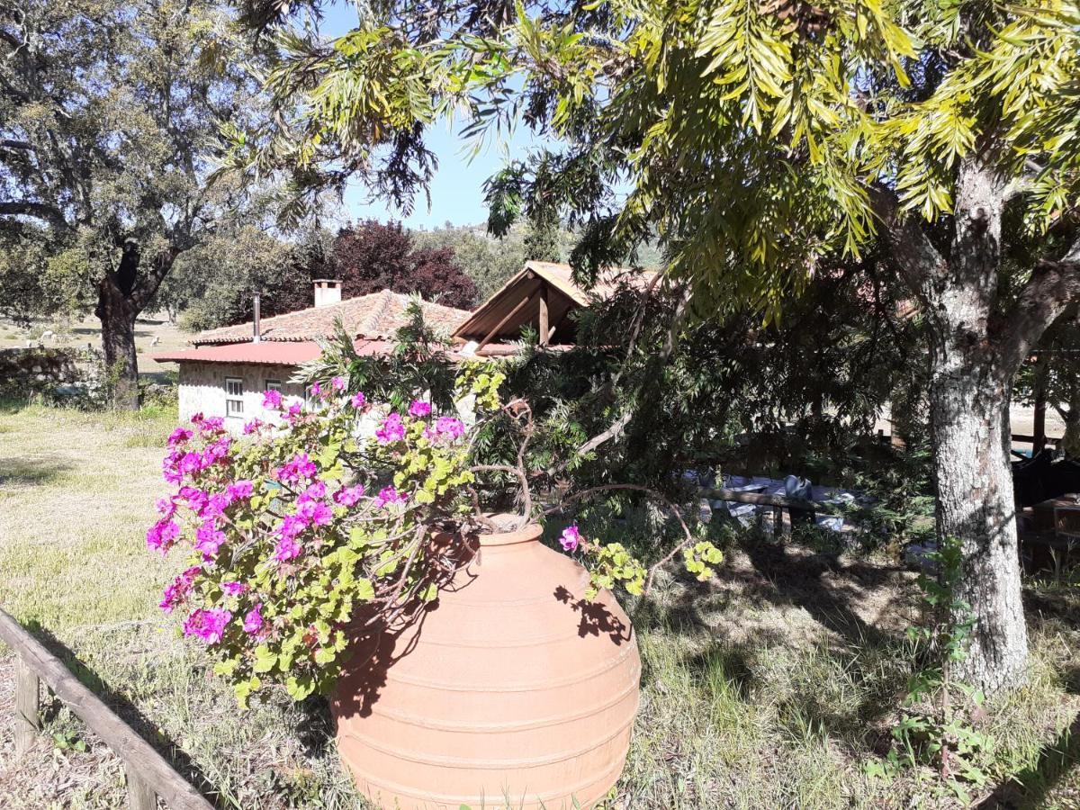 Casa Da Vinha Villa Castelo Novo ภายนอก รูปภาพ