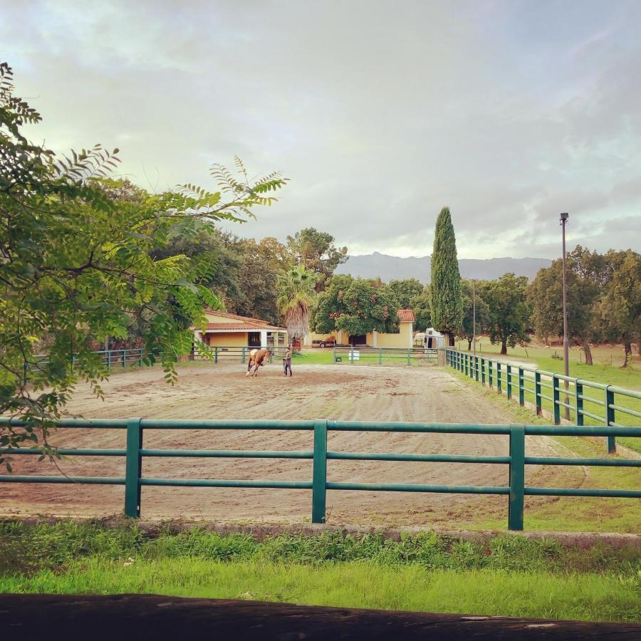 Casa Da Vinha Villa Castelo Novo ภายนอก รูปภาพ