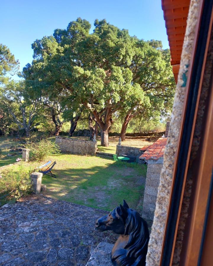 Casa Da Vinha Villa Castelo Novo ภายนอก รูปภาพ