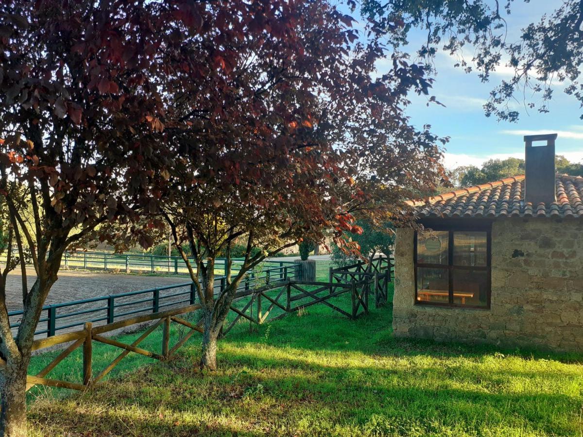 Casa Da Vinha Villa Castelo Novo ภายนอก รูปภาพ