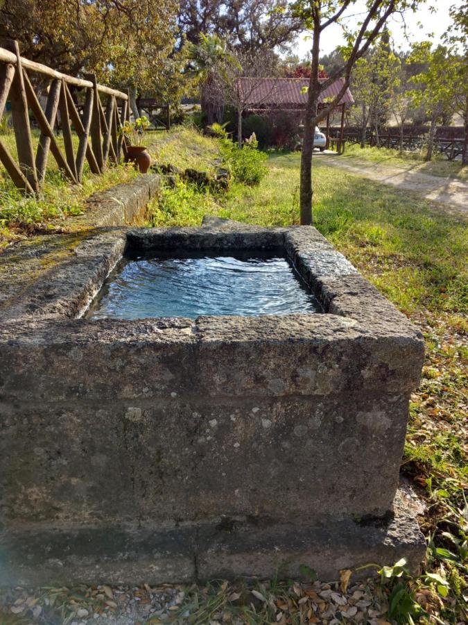 Casa Da Vinha Villa Castelo Novo ภายนอก รูปภาพ